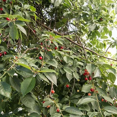Farma U Reginy Casa rural Malechowo