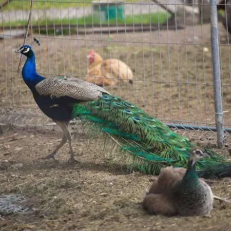 Casa rural Farma U Reginy Malechowo